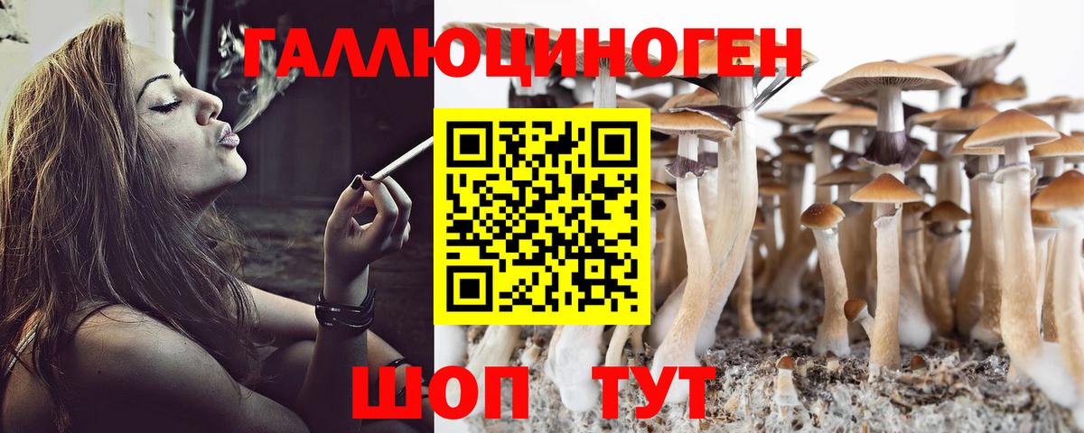 Псилоцибиновые грибы мухоморы  Галлюциногенные грибы GOLDEN TEACHER  Воронеж  Вход с VPN 