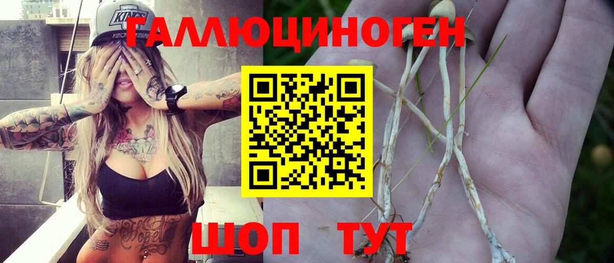 Псилоцибиновые грибы ЛСД Воронеж