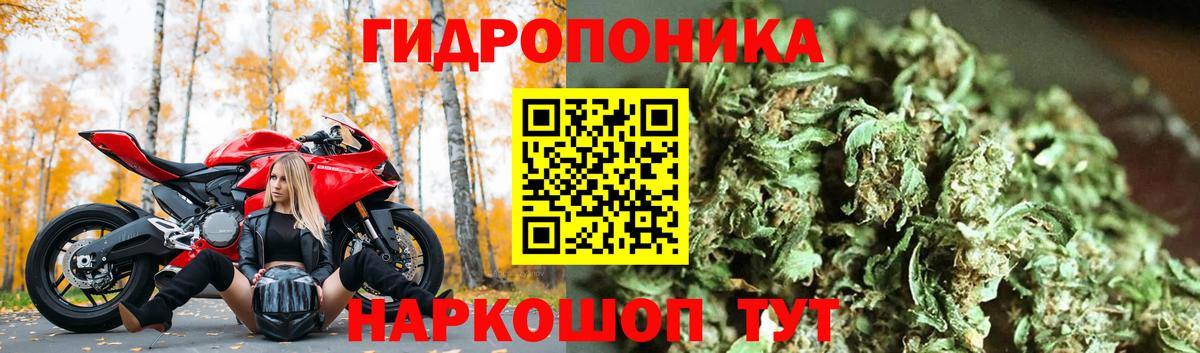 Конопля VHQ  МАРИХУАНА Bruce Banner  Воронеж  Вход с VPN  Бошки Шишки LSD WEED  Канабис семена 